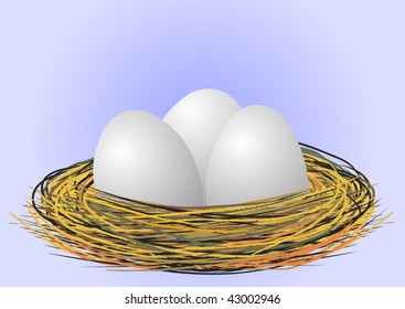 Eggs in the nest - vector