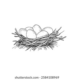 Eggs in nest vector black and white illustration hand drawn with ink. Isolated object for label design