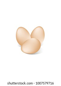 Eggs on white background