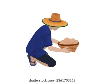 Eggs on a white background.