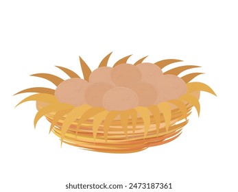 Eggs on a white background.