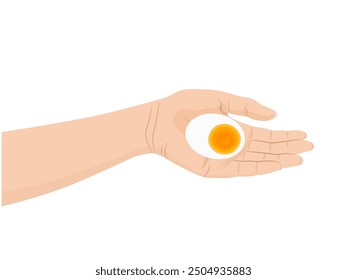 Huevos sobre fondo blanco.
