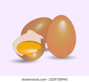 Huevos sobre fondo blanco, medio huevo crudo, aislado, ilustración vectorial realista