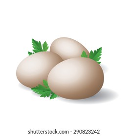 Eggs and parsley
