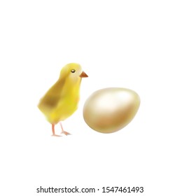 eggs products chicken  illustration watercolor