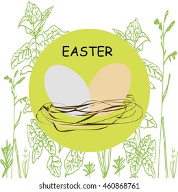 Eggs in round on a isolated background