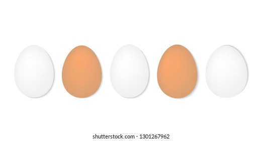 eggs in a row- vector illustration