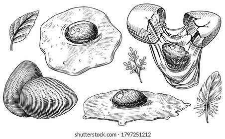 Eggs and scrambled omelette, farm product. Engraved hand drawn vintage sketch. Woodcut style. Vector illustration for menu or poster.