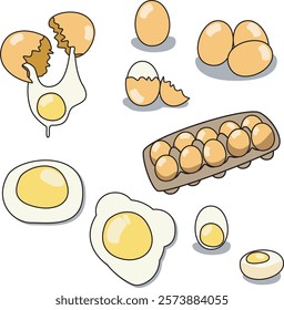 Eggs set, boiled, whole and sliced, peeled, broken eggs, yolks, eggshell, egg carton box isolated on white background. Poultry farming theme. Fram.