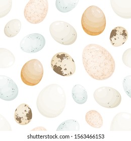 Eggs in shell seamless pattern. Different birds reproductive cells, avian gametes. Diet products, healthy nutrition items, protein sources, delicatessen. Chicken, pigeon, goose, turkey eggs.