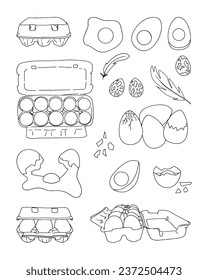 Eggs sketch. Coloring page vector illustration of natural egg, broken shell, egg box, egg packaging. Chicken eggs, quail eggs