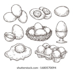 Eggs sketch. Vintage natural egg, broken shell. Hand drawn farming food, animal products. Drawing ingredients, rustic vector illustration