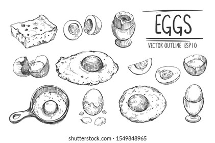 Eggs sketches.  Hand drawn illustration converted to vector