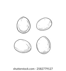 Eggs vector black and white illustration set hand drawn with ink. Isolated objects for label design