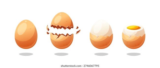 Eggs vector. cracked egg, soft or hard boiled eggs isolated on white background.
