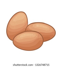 Eggs Vector Illustration
