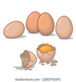 Eggs vector illustration. Vector illustration of whole and broken egg