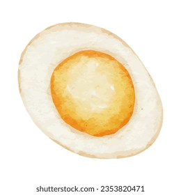 Eggs watercolor isolated. Food Vector illustration