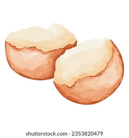 Eggs watercolor isolated. Food Vector illustration