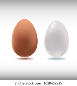 eggs white and brown isolated on white background, 3D realistic vector illustration