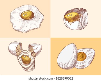 Eggs and and yolk, scrambled omelette, shell and farm product. Engraved hand drawn vintage sketch. Woodcut style. Vector illustration for menu or poster.