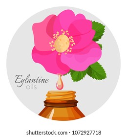 Eglantin oils promo poster with wild rose flower and bottle