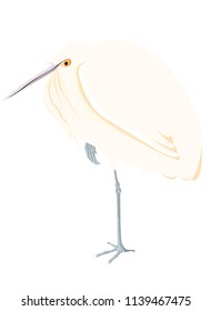 egret alone in color vector