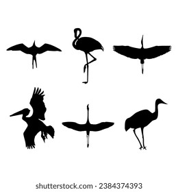 Egret Bird silhouettes black white collection vector illustration.