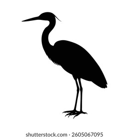 Egret Silhouette Vector Art and Black - White Egret Bird Illustration