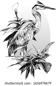 egret stands full-length sideways and looks away composition in an oval painted with bushes with wide leaves and a flower, sketch vector graphics monochrome illustration on a white background