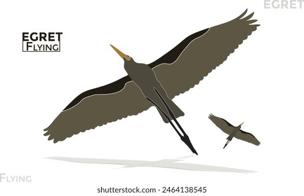  garzas silueta voladora, Vector de silueta de forma animal sobre fondo blanco.