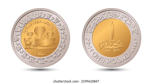 Egipto 1 libra 2019 Nueva aldea egipcia. Reverso y reverso de la moneda egipcia de una libra en ilustración vectorial.