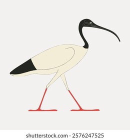 Egypt bird vintage illustration, vector bird animal element. Vintage bird animal art drawing illustration, old painting art print vector. Isolated vintage animal illustration.