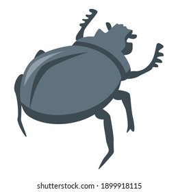 Egypt black bug icon. Isometric of Egypt black bug vector icon for web design isolated on white background