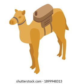 Egypt camel icon. Isometric of Egypt camel vector icon for web design isolated on white background