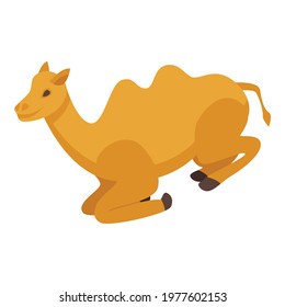 Egypt camel icon. Isometric of Egypt camel vector icon for web design isolated on white background
