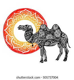 egypt, camel, vector, desert, illustration, animal, nature, travel, sand