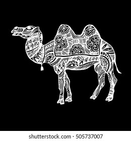egypt, camel, vector, desert, illustration, animal, nature, travel, sand