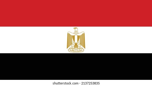 Egypt flag with original RGB color vector illustration design