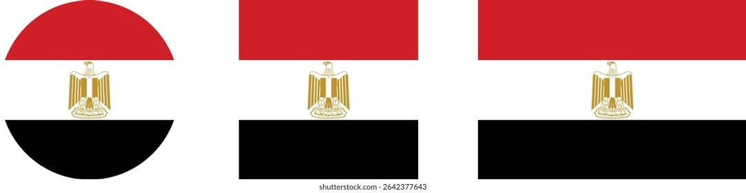 
Egypt flag PNG vector. Egypt square and round icon isolated on transparent PNG background. Egypt flag icon.

