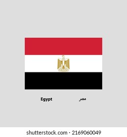 Egypt Flag vector shape with details