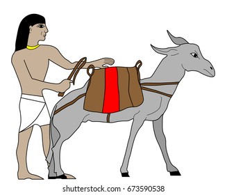 egypt merchant with donkey