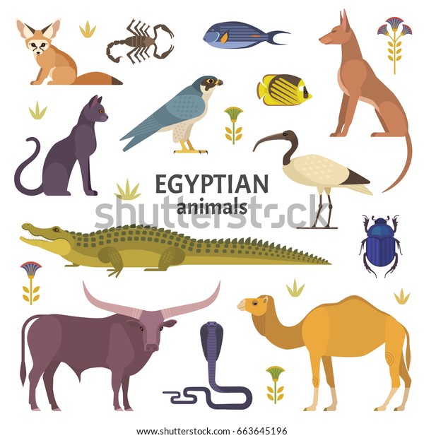 エジプトの動物 白い背景にラクダ ワニ バッファロー イビ 猫