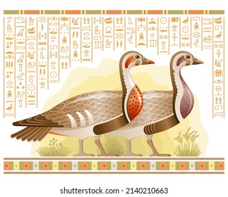 Egyptian birds vector. Geese from Egypt. Pharaoh goose art, papyrus with hieroglyph. Wild duck illustration. God Geb mythology symbol. Ancient vintage animal. Old symbol. Wildfowl vector. Meidum geese