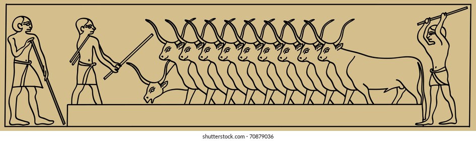 Egyptian Bulls