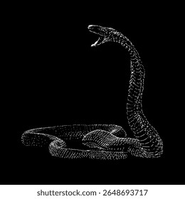 Egyptian Cobra hand drawing vector isolated on background.
