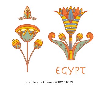 Egyptian floral colorful design element set isolated on white. Lotus flower, vector sign,  symbol, logo illustration. Spirituality, occultism, chemistry, flower tattoo.