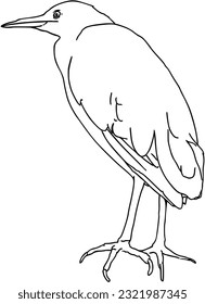 Egyptian heron animal with feathers doodle linear cartoon coloring