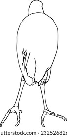 Egyptian heron animal with feathers doodle linear cartoon coloring