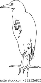 Egyptian heron animal with feathers doodle linear cartoon coloring